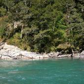 New-Zealand_2005_0313.JPG