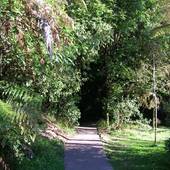 New-Zealand_2005_0799.JPG