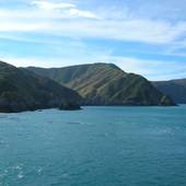 New-Zealand_2005_0458.JPG