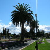 New-Zealand-2007-920.JPG