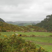 New-Zealand-2007-1171.JPG